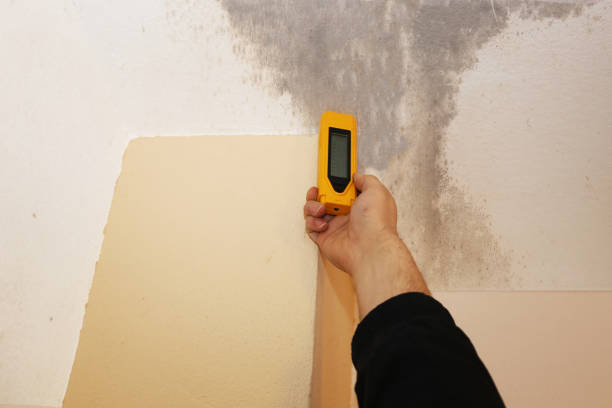 Best Asbestos and Lead Testing During Mold Inspection  in Lake Nacimiento, CA