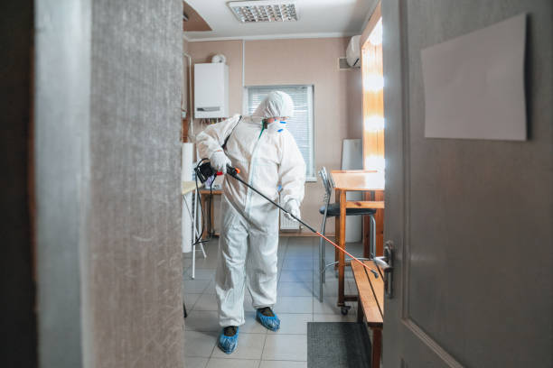 Best Mold Removal for HVAC Installations  in Lake Nacimiento, CA